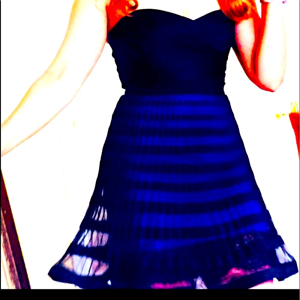 Bcbgmaxazria corsage dress size 2